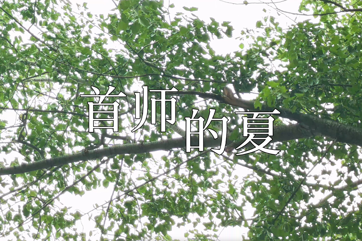 视频|绿影摇夏，花绽校园！专属于首都师大的夏天已经来到！